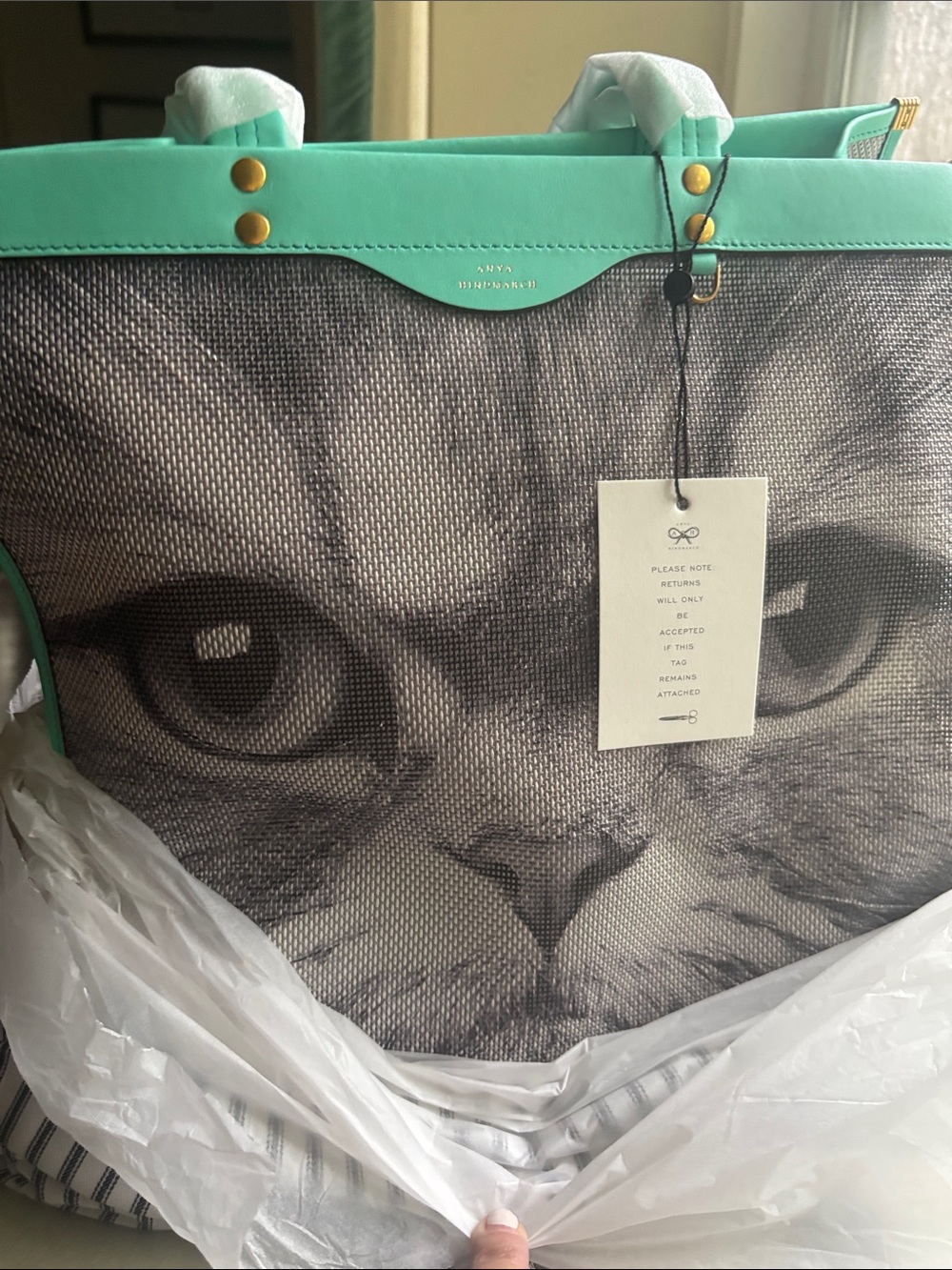 NWT Anya Hindmarch Large Cat Face Tote with Mint Trim